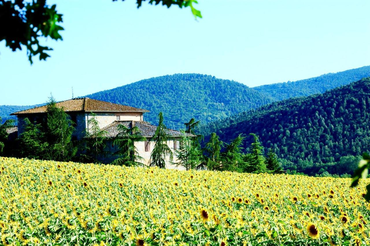 Agriturismo Montioni Sovicille Εξωτερικό φωτογραφία